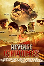 Revenge Is A Promise 2018 720p WEB x264-worldmkv