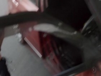 Dog Squad S10E09 480p x264-mSD [eztv]