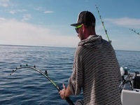 Wicked Tuna S12E17 480p x264-mSD EZTV