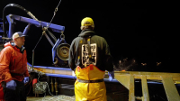 Deadliest Catch S20E11 720p HEVC x265-MeGusta EZTV Deadliest Catch S20E11 720p HEVC x265-MeGusta EZTV