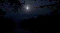 Expedition Bigfoot S04E01 XviD-AFG EZTV