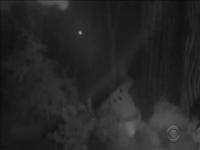 Big Brother US S21E02 480p x264-mSD [eztv]