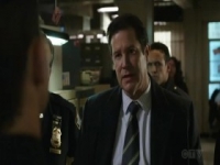 Blue Bloods S10E15 480p x264-mSD [eztv]