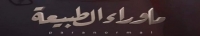 Paranormal S01 ARABIC 720p NF WEBRip DDP5 1 x264-MZABI Paranormal S01 ARABIC 720p NF WEBRip DDP5 1 x264-MZABI
