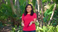 Wild Child S03E19 XviD-AFG EZTV Wild Child S03E19 XviD-AFG EZTV