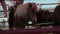 The Circus S07E13 1080p HEVC x265-MeGusta EZTV