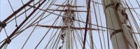 Mutiny on the Bounty (1962) [BluRay] [720p] [YTS] [YIFY]