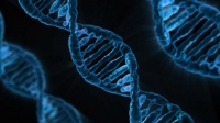 [ DevCourseWeb ] Udemy - Ultimate History of Medicine Course!
