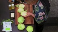 Guys Grocery Games S34E06 XviD-AFG EZTV