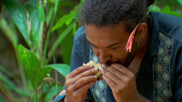 Survivor S47E09 XviD-AFG EZTV Survivor S47E09 XviD-AFG EZTV