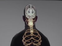 Human The World Within S01E06 480p x264-mSD EZTV Human The World Within S01E06 480p x264-mSD EZTV