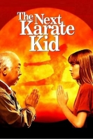 The Next Karate Kid 1995 1080p BluRay x264-CLASSiC