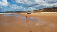 Griffs Great Australian Rail Trip S01E03 XviD-AFG EZTV Griffs Great Australian Rail Trip S01E03 XviD-AFG EZTV