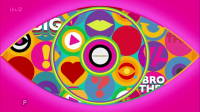Big Brother UK S20E31 XviD-AFG EZTV