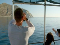 Expedition with Steve Backshall S02E06 480p x264-mSD EZTV Expedition with Steve Backshall S02E06 480p x264-mSD EZTV