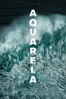 Aquarela 2018 1080p BluRay x264-CADAVER[TGx]