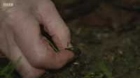 Winterwatch S09E08 XviD-AFG EZTV