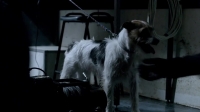 Snatch S01E10 WEB X264-DEFLATE[eztv]