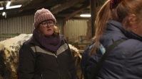 The Yorkshire Vet S17E03 XviD-AFG EZTV The Yorkshire Vet S17E03 XviD-AFG EZTV