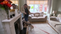 Dogs Behaving Badly S03E06 720p HEVC x265-MeGusta EZTV