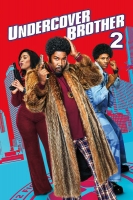 Undercover Brother 2 2019 BRRip XviD AC3-EVO[TGx]