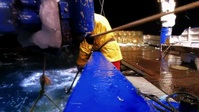 Deadliest Catch S18E08 720p HEVC x265-MeGusta EZTV