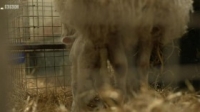 Countryfile S32E14 WEB H264-iPlayerTV [eztv]