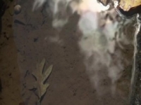 Moonshiners S09E09 480p x264-mSD [eztv]