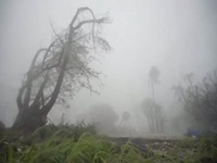 Storm Chasers Guide S01E02 480p x264-mSD EZTV Storm Chasers Guide S01E02 480p x264-mSD EZTV