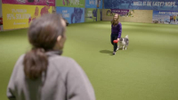 The Secret Life of Dancing Dogs S01E04 XviD-AFG EZTV The Secret Life of Dancing Dogs S01E04 XviD-AFG EZTV