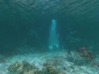 Absurd Planet S01E05 480p x264-mSD [eztv]