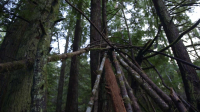 Expedition Bigfoot S05E07 720p HEVC x265-MeGusta EZTV