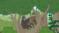 Adventure Beast S01E12 1080p WEB h264-STOUT EZTV