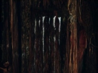 The Dead Lands S01E04 480p x264-mSD [eztv]