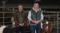 This Week On The Farm S03E04 XviD-AFG EZTV