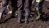 WWII Treasure Hunters S02E06 XviD-AFG EZTV WWII Treasure Hunters S02E06 XviD-AFG EZTV