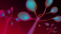 Samurai Jack S05E04 HDTV x264-W4F[eztv]