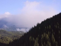 Chefs vs Wild S01E08 480p x264-mSD EZTV Chefs vs Wild S01E08 480p x264-mSD EZTV
