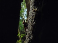 Super Natural S01E04 480p x264-mSD EZTV