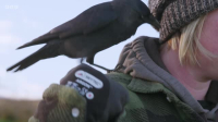 This Farming Life S06E01 XviD-AFG EZTV This Farming Life S06E01 XviD-AFG EZTV