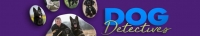 Dog Detectives S01E10 Knowing Me Knowing You WEB x264-UNDERBELLY[TGx]