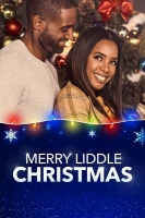 Merry Liddle Christmas 2019 iNTERNAL 1080p WEB h264-DEFY[TGx]