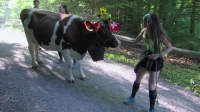 The Amazing Race S31E08 WEB x264-TBS [eztv]