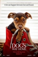 A Dog’s Way Home (2019) 720p HC HDRip 750MB - MkvCage