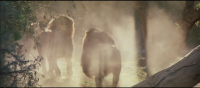 Roar 1981 1080p BluRay H264 AAC