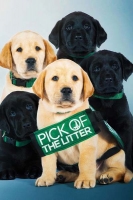 Pick of the Litter 2018 DVDRip x264-WiDE[TGx]