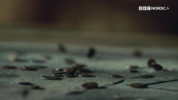 Ancient Powers S01E06 XviD-AFG EZTV Ancient Powers S01E06 XviD-AFG EZTV