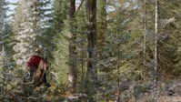 When Hope Calls S02E01 720p HEVC x265-MeGusta EZTV When Hope Calls S02E01 720p HEVC x265-MeGusta EZTV