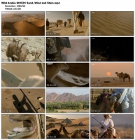 Wild Arabia (BBC, 2013) (1280x720p HD, 50fps, soft Eng subs)