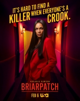 Briarpatch - Season 1 - Mp4 x264 AC3 1080p
